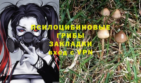 mdpv Осинники