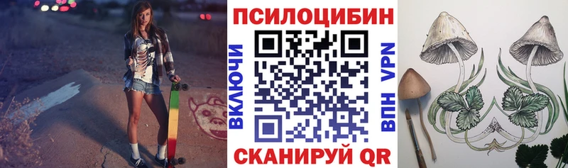 Псилоцибиновые грибы Cubensis  Покров 
